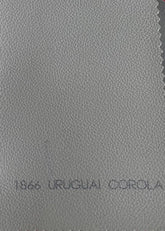 Courvin Automotivo Uruguai Corola 1866